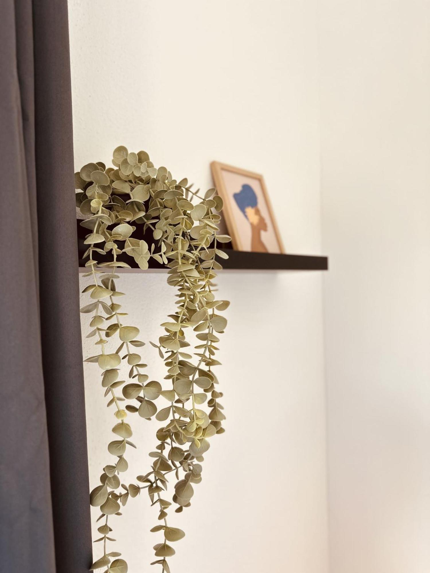 Apartment Mit Netflix - Parken - Kueche - Bad ヴァイデン エクステリア 写真
